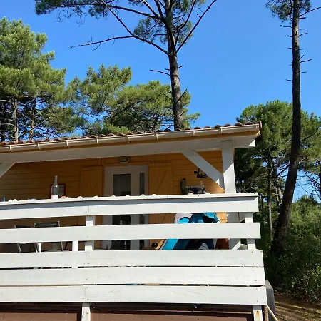Alpehytte Chalet Serenite La Jenny *