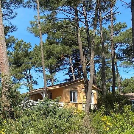 Chalet Serenite La Jenny Alpehytte *
